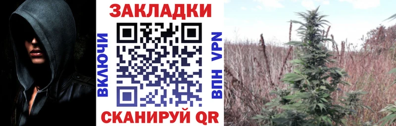 Купить наркотик аптеки Домодедово Конопля  КОКАИН  Псилоцибиновые грибы  СК  Мефедрон  Гашиш 