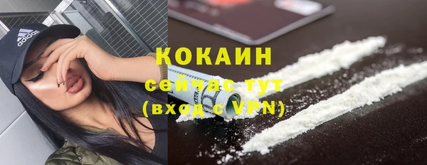 сатива Карталы