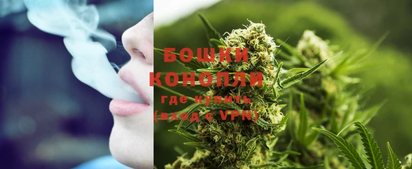 сатива Карталы