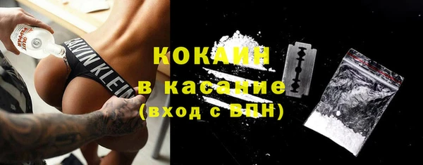 сатива Карталы