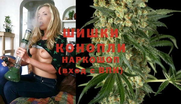 сатива Карталы