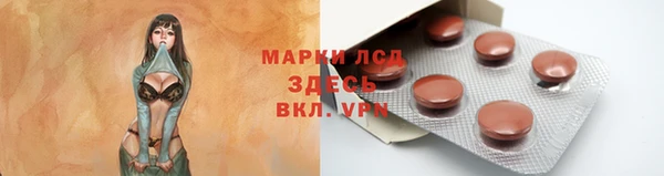 сатива Карталы