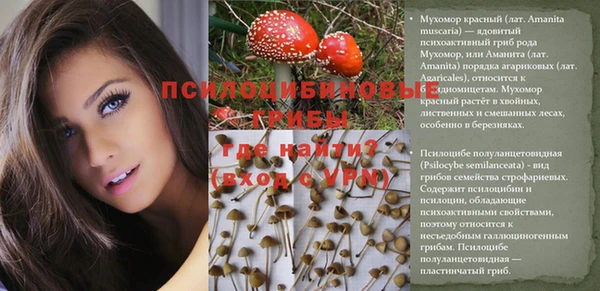 а пвп мука Карпинск