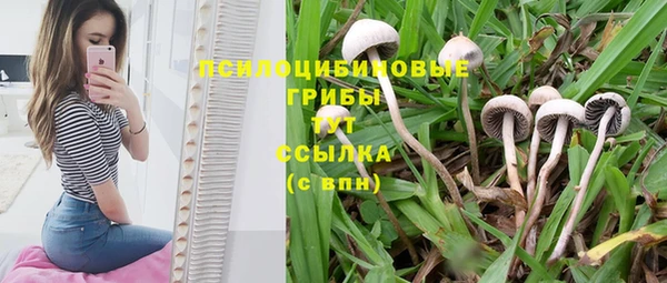 а пвп мука Карпинск