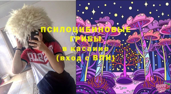 а пвп мука Карпинск