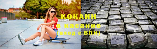 сатива Карталы