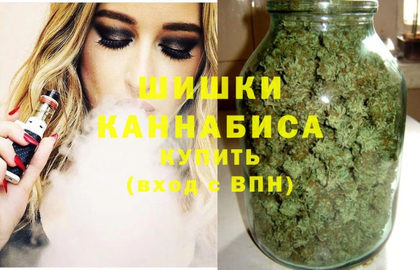 сатива Карталы